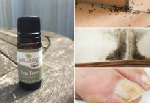 10 Unexpected Uses For Tea Tree Oil That Will Change Your Life