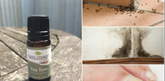 10 Unexpected Uses For Tea Tree Oil That Will Change Your Life