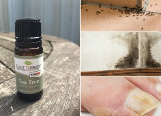 10 Unexpected Uses For Tea Tree Oil That Will Change Your Life