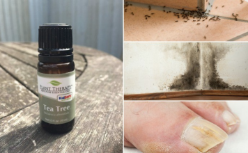 10 Unexpected Uses For Tea Tree Oil That Will Change Your Life