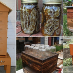 A step by step guide to make a DIY beehive