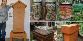 A step by step guide to make a DIY beehive