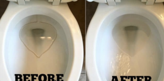 A very cheap method to clean hard toilet bowl stains