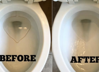 A very cheap method to clean hard toilet bowl stains