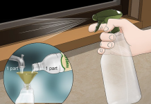 The proper ways to keep spiders away from your bed