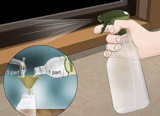 The proper ways to keep spiders away from your bed