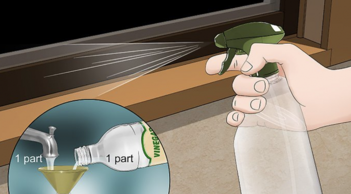 The proper ways to keep spiders away from your bed