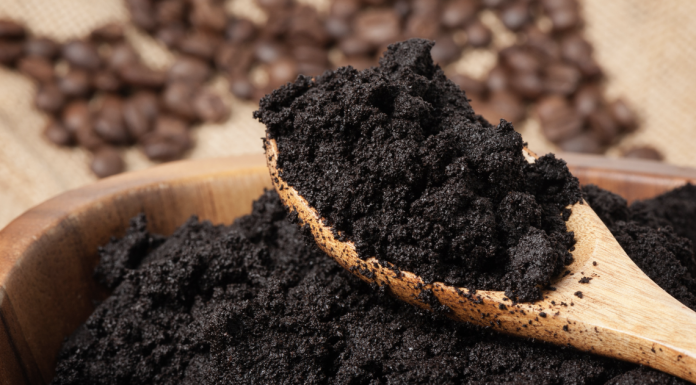 12 uses of coffee ground you have to know about