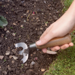 Here’s why you should stop digging your garden