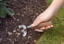 Here’s why you should stop digging your garden