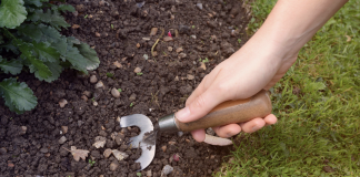 Here’s why you should stop digging your garden