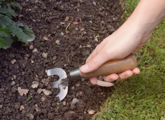 Here’s why you should stop digging your garden