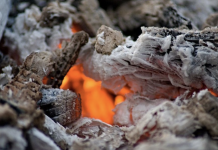 6 wood ash uses you have to know about
