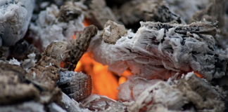 6 wood ash uses you have to know about