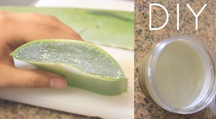 The proper way to make a homemade aloe vera gel and juice