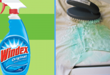 6 Awesome Uses for Windex You Should Know