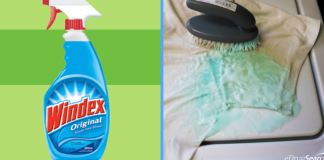 6 Awesome Uses for Windex You Should Know