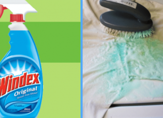6 Awesome Uses for Windex You Should Know