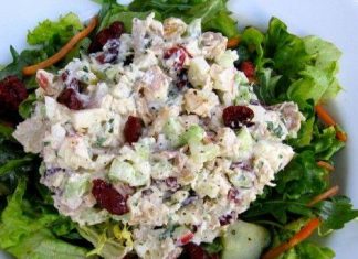Chicken Salad with Apples and Cranberries