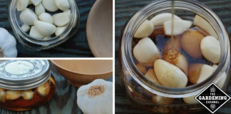 What Is the Best Way to Prepare Garlic?