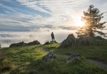 If you are tired of constantly buying food, here are some that you can regrow by yourself