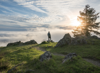 If you are tired of constantly buying food, here are some that you can regrow by yourself
