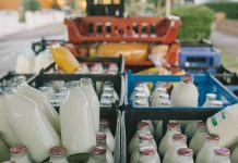 Who would have guessed that the Milkmen are being brought back by the millenials?