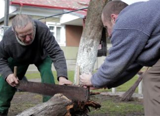 This father cuts up wood that costs $10 000 with his sons to give it to families in need of heat