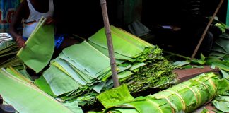 Peruvians Dispatch Banana Leaf Plates To Decrease Natural Plastic Contamination
