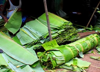 Peruvians Dispatch Banana Leaf Plates To Decrease Natural Plastic Contamination