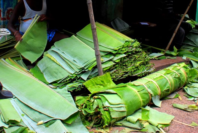 Peruvians Dispatch Banana Leaf Plates To Decrease Natural Plastic Contamination - Beauty 2024 | PopcornTime