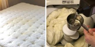 6 Stain Removal Hacks That Really, Truly Work!