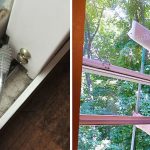 6 Simple Ways To Clean Grimy, Streaky Windows