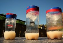 How To Make A Homemade Mosquito Trap