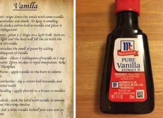 9 Surprising Yet Brilliant Uses For Vanilla