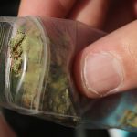 Cannabis found in man’s nose 18 years after he trying to move it illegally into prison