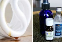 6 Natural Solutions For A Nice, Fresh-Smelling Home