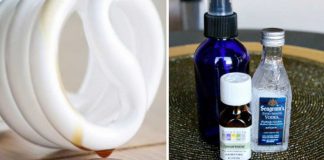 6 Natural Solutions For A Nice, Fresh-Smelling Home