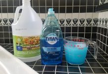 The Best 2 Ingredient Remedy for Eliminating Fruit Flies!