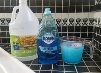 The Best 2 Ingredient Remedy for Eliminating Fruit Flies!