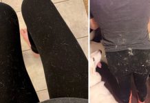 How To Remove Stubborn Pet Hair From Clothing