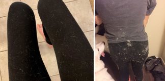 How To Remove Stubborn Pet Hair From Clothing