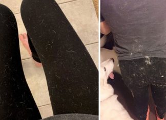 How To Remove Stubborn Pet Hair From Clothing