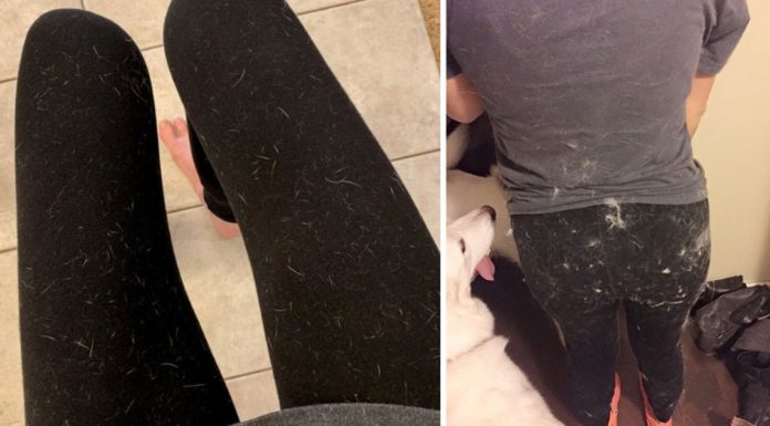 How To Remove Stubborn Pet Hair From Clothing