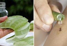 8 Awesome And Unexpected Ways To Use Aloe Vera