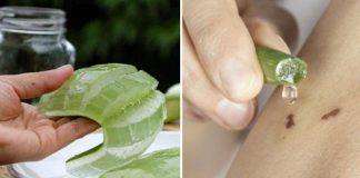 8 Awesome And Unexpected Ways To Use Aloe Vera