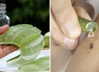 8 Awesome And Unexpected Ways To Use Aloe Vera