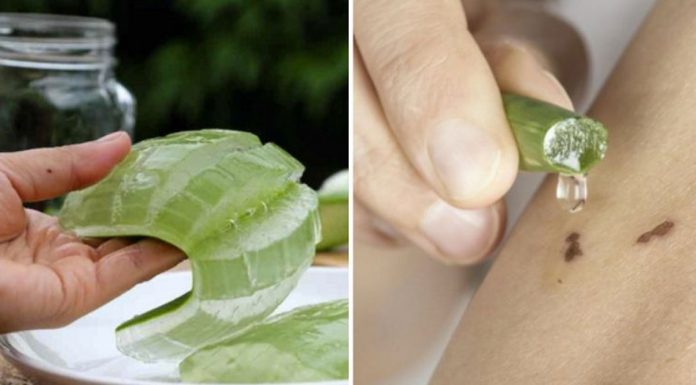 8 Awesome And Unexpected Ways To Use Aloe Vera