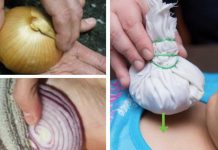 10 Amazing Uses For Onions That You’ve Probably Never Heard About