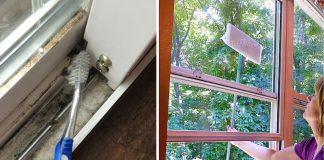 6 Simple Ways To Clean Grimy, Streaky Windows